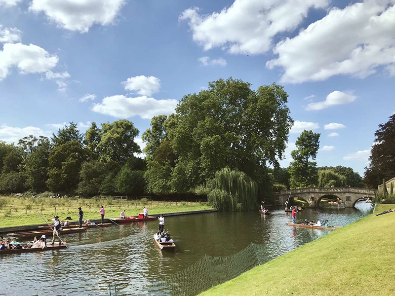 英国埃塞克斯大学要求