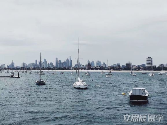 维多利亚大学大学排名