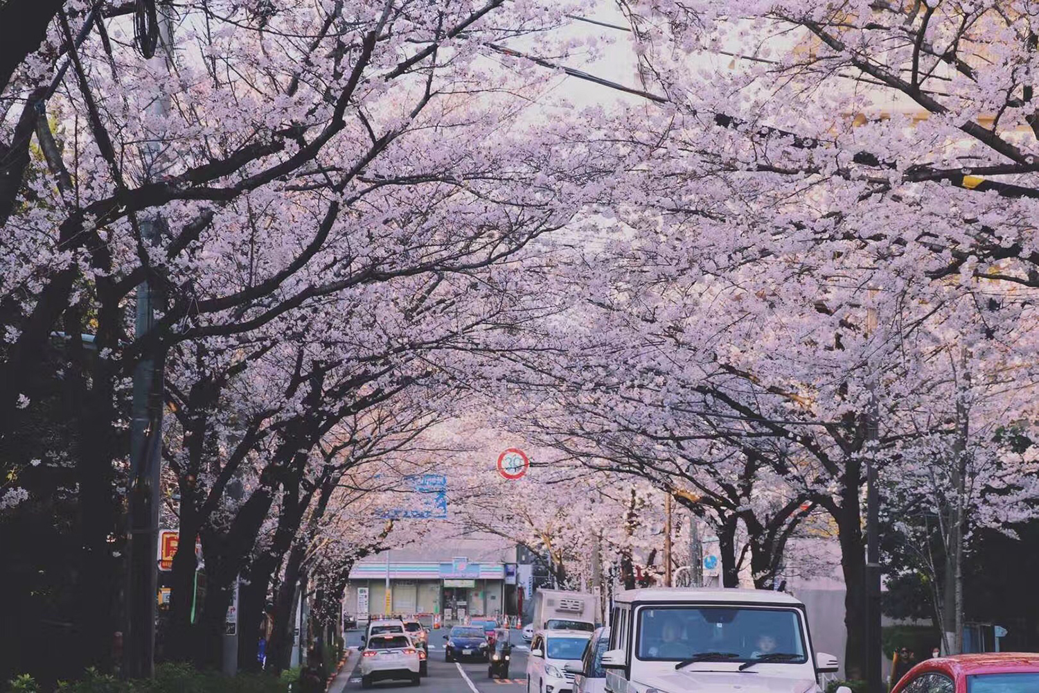 日本留学好不好
