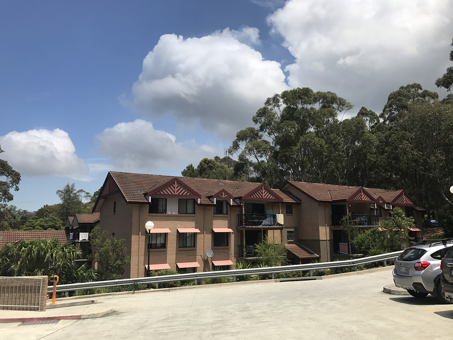 卧龙岗大学预科课程