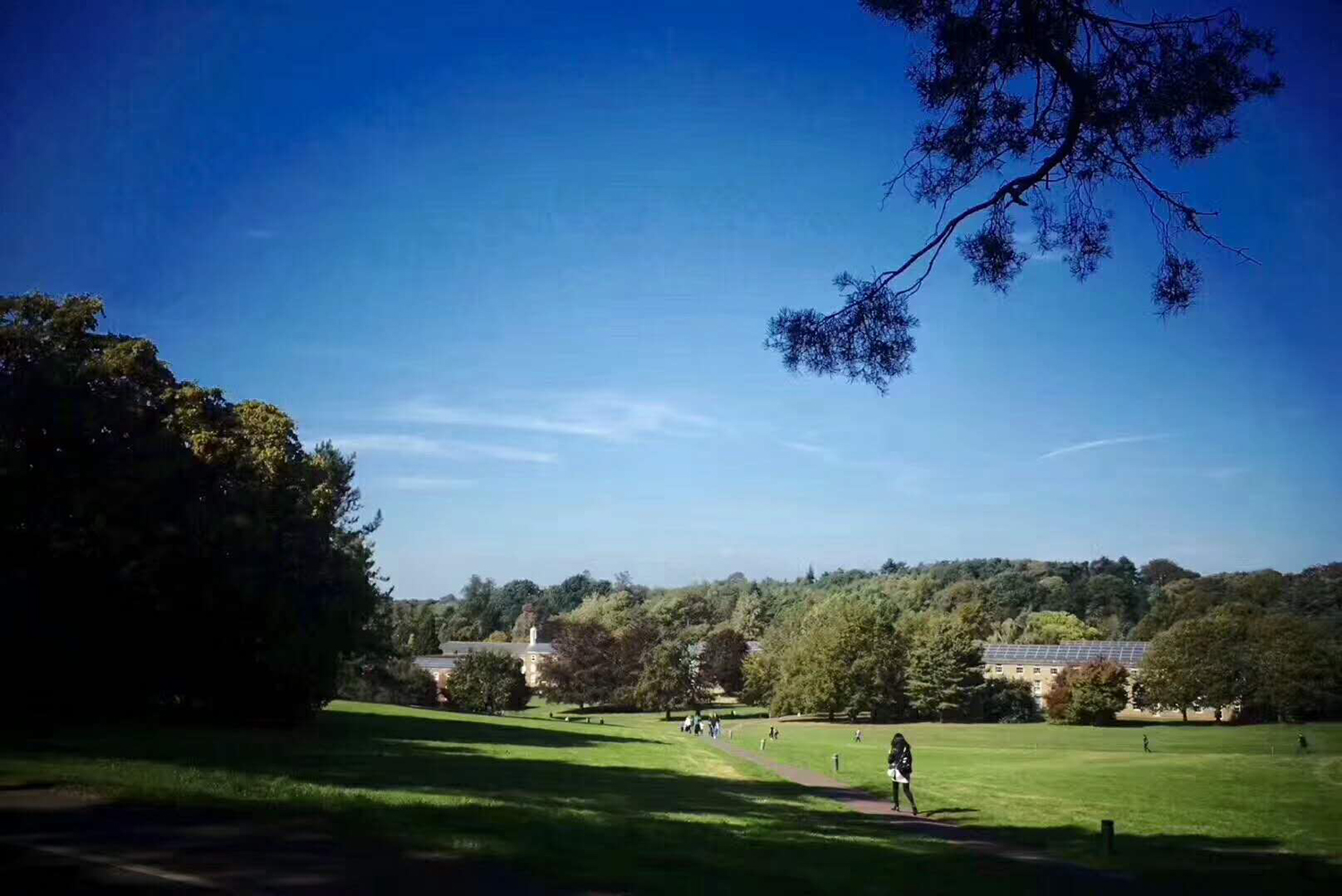 英国阿斯顿大学排名