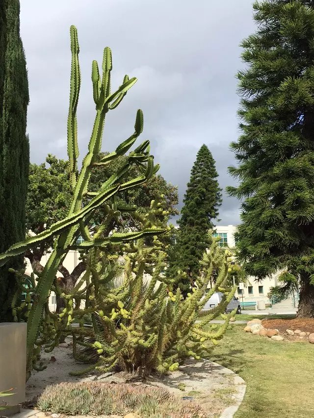 德雷塞尔大学硕士学费