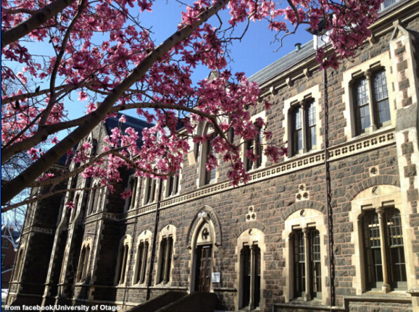 奥塔哥大学预科