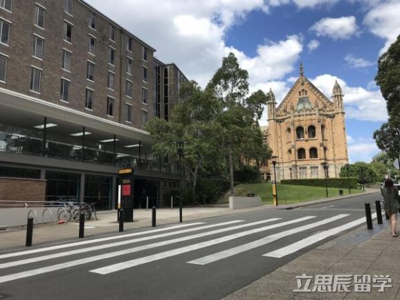 悉尼大学热门专业