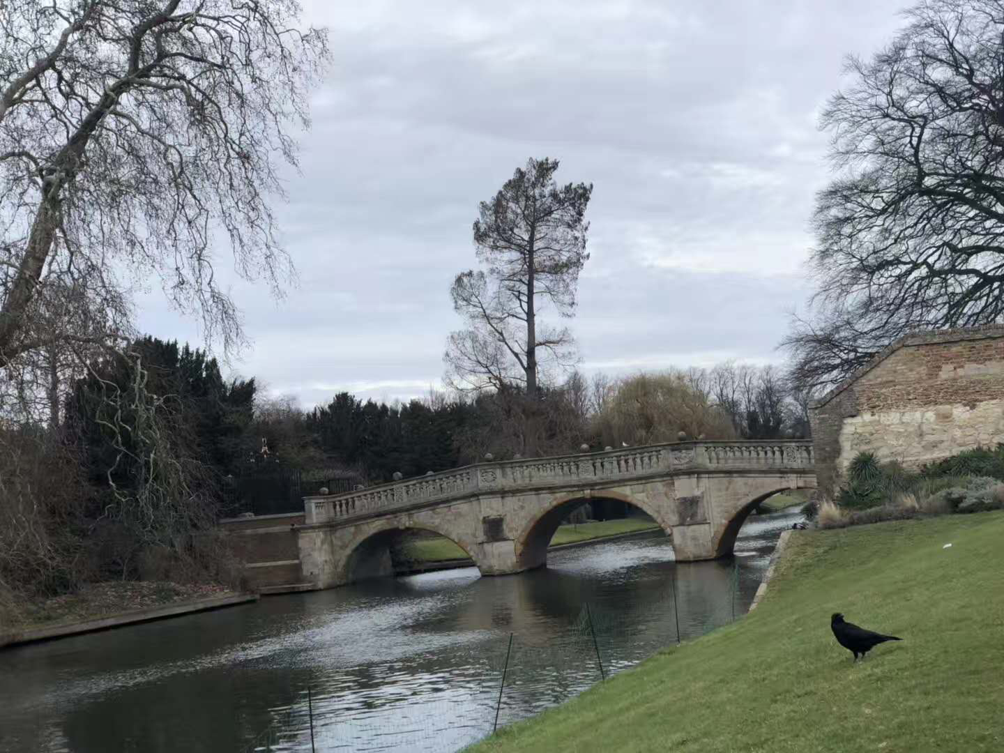 英国初中留学学校