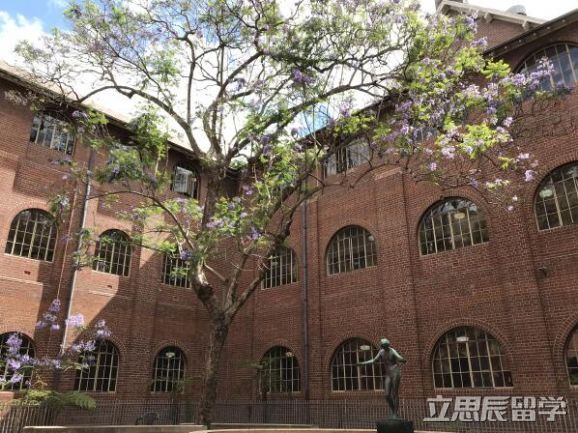 悉尼大学预科难吗