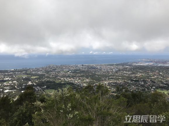澳大利亚天主教大学优势专业