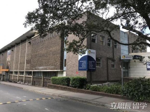 悉尼大学王牌专业