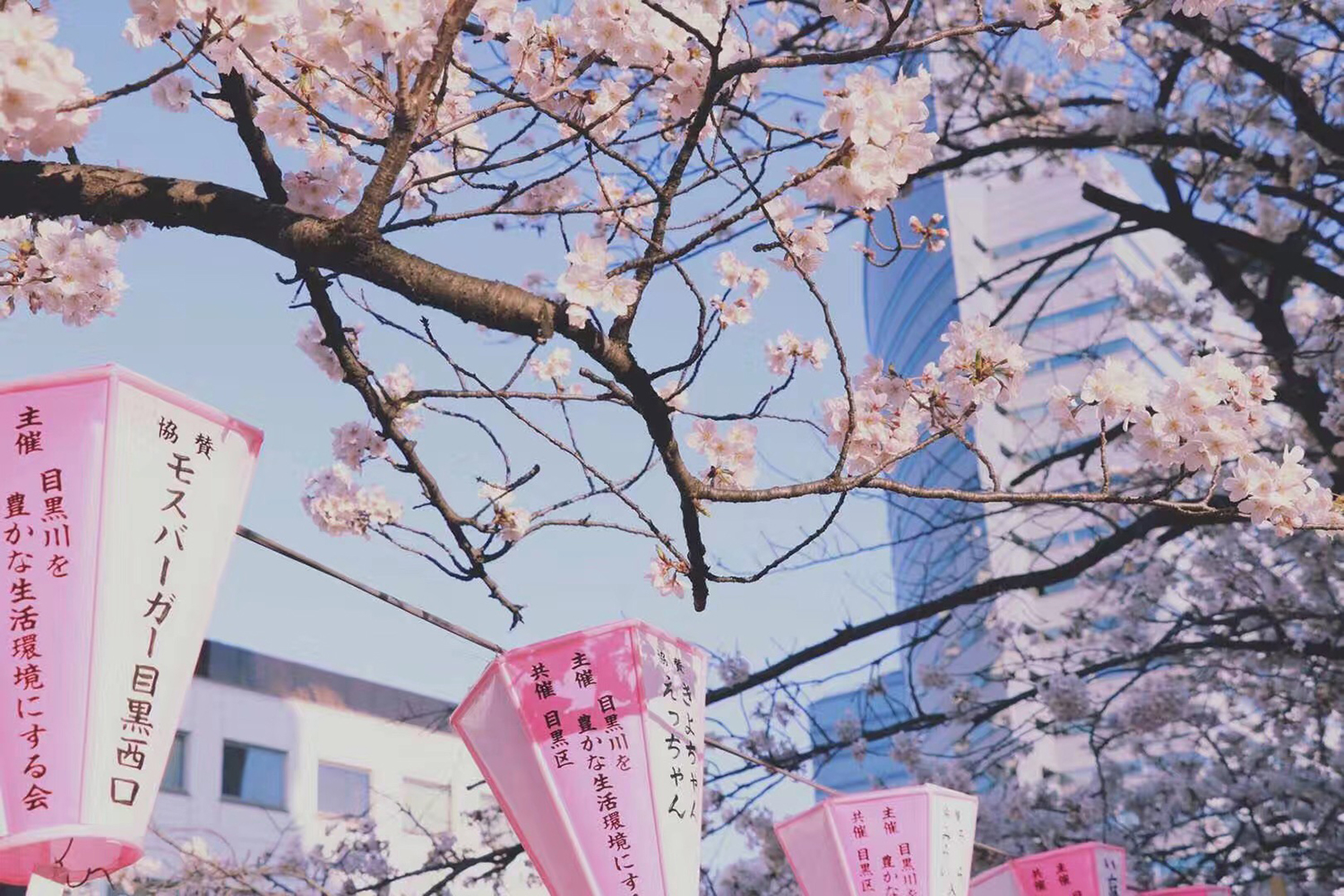 日本研究生留学费用