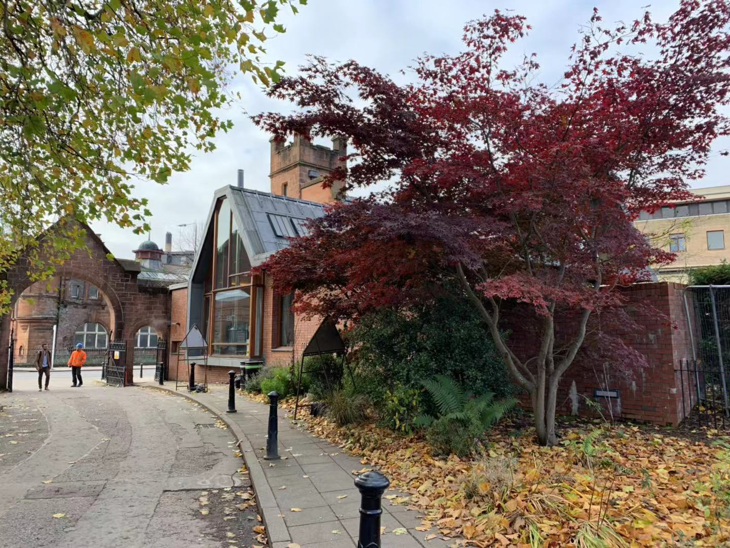 英国思克莱德大学排名