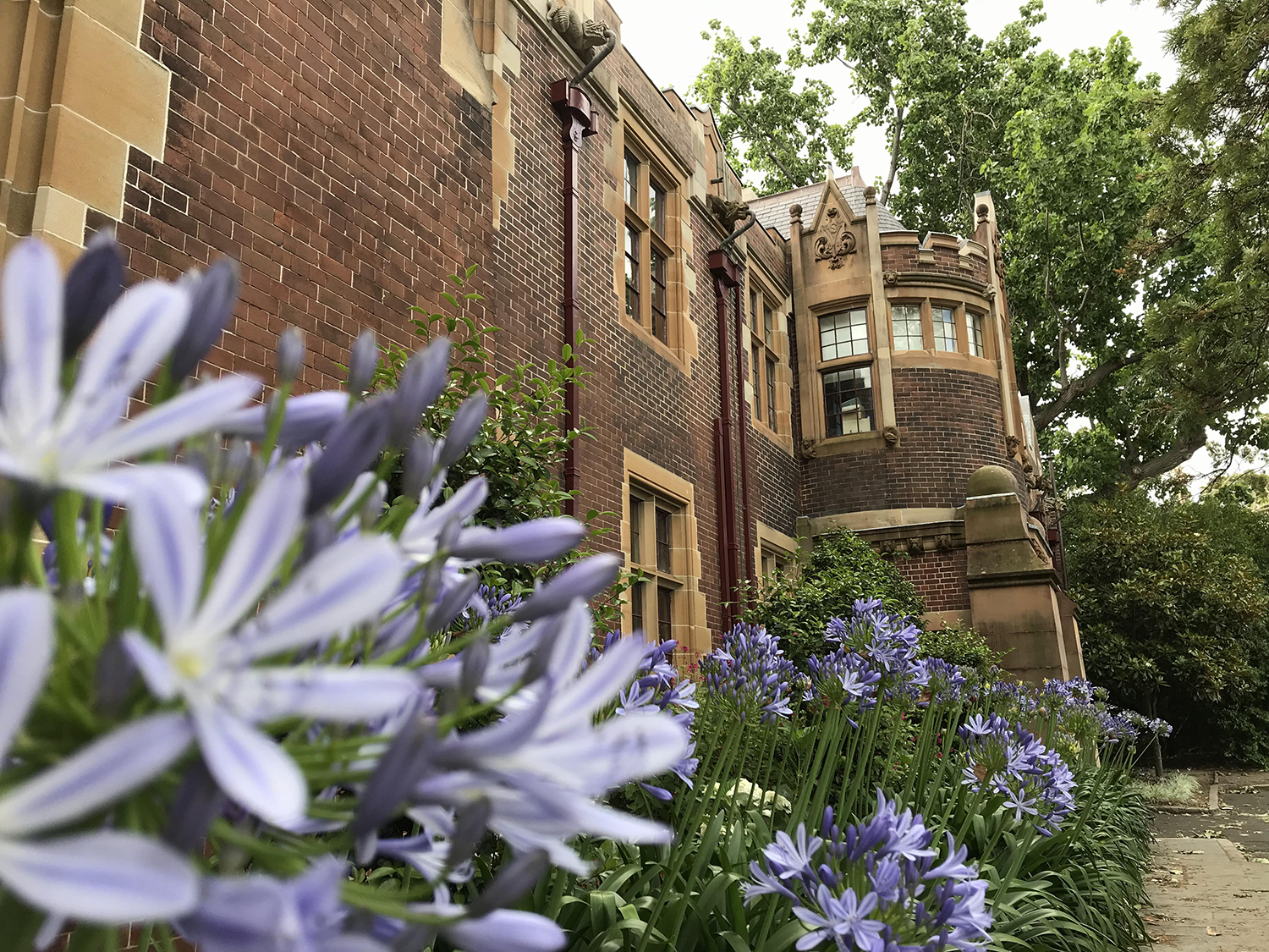 悉尼大学商科研究生申请条件