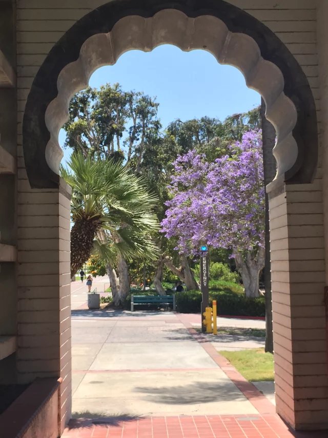 叶史瓦大学专业