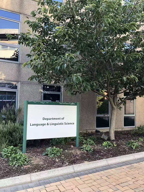 英国约克大学商学院专业