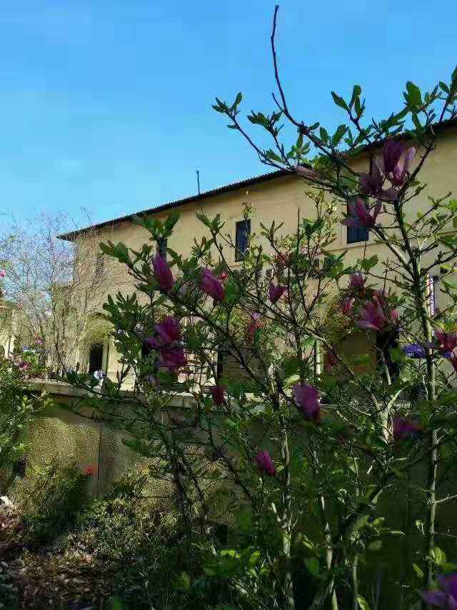 芝加哥大学人类学