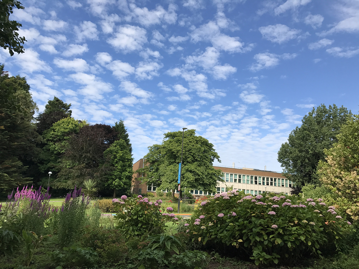 留学英国研究生学费