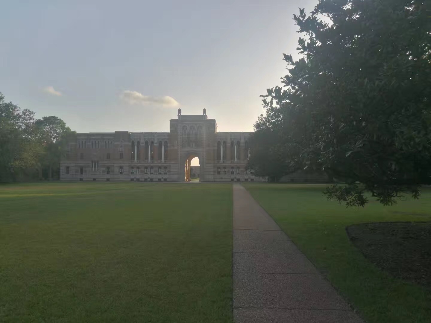 莱斯大学社会学