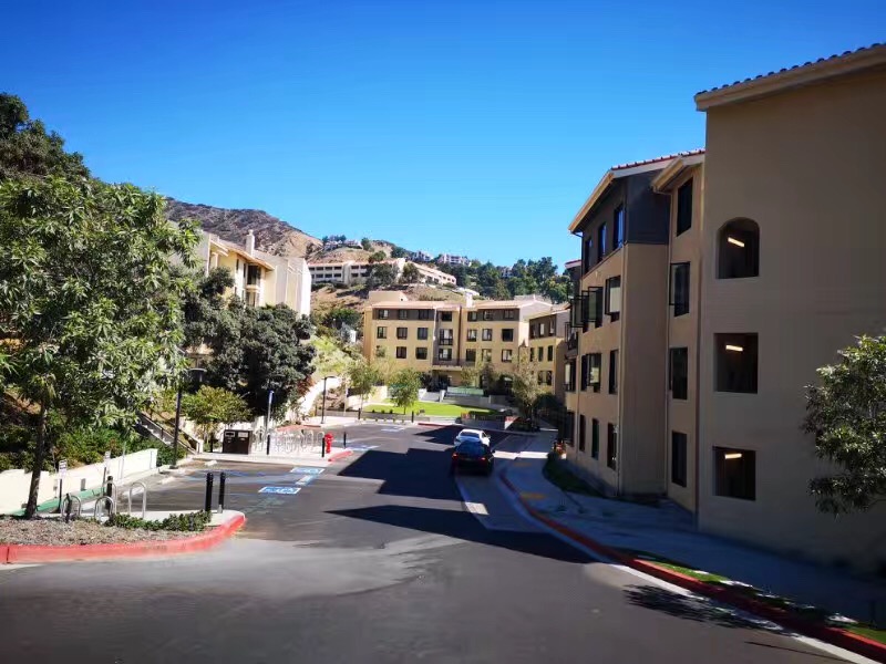 去圣弗朗西斯大学留学，优势竟然这么多