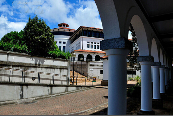 梅西大学留学条件