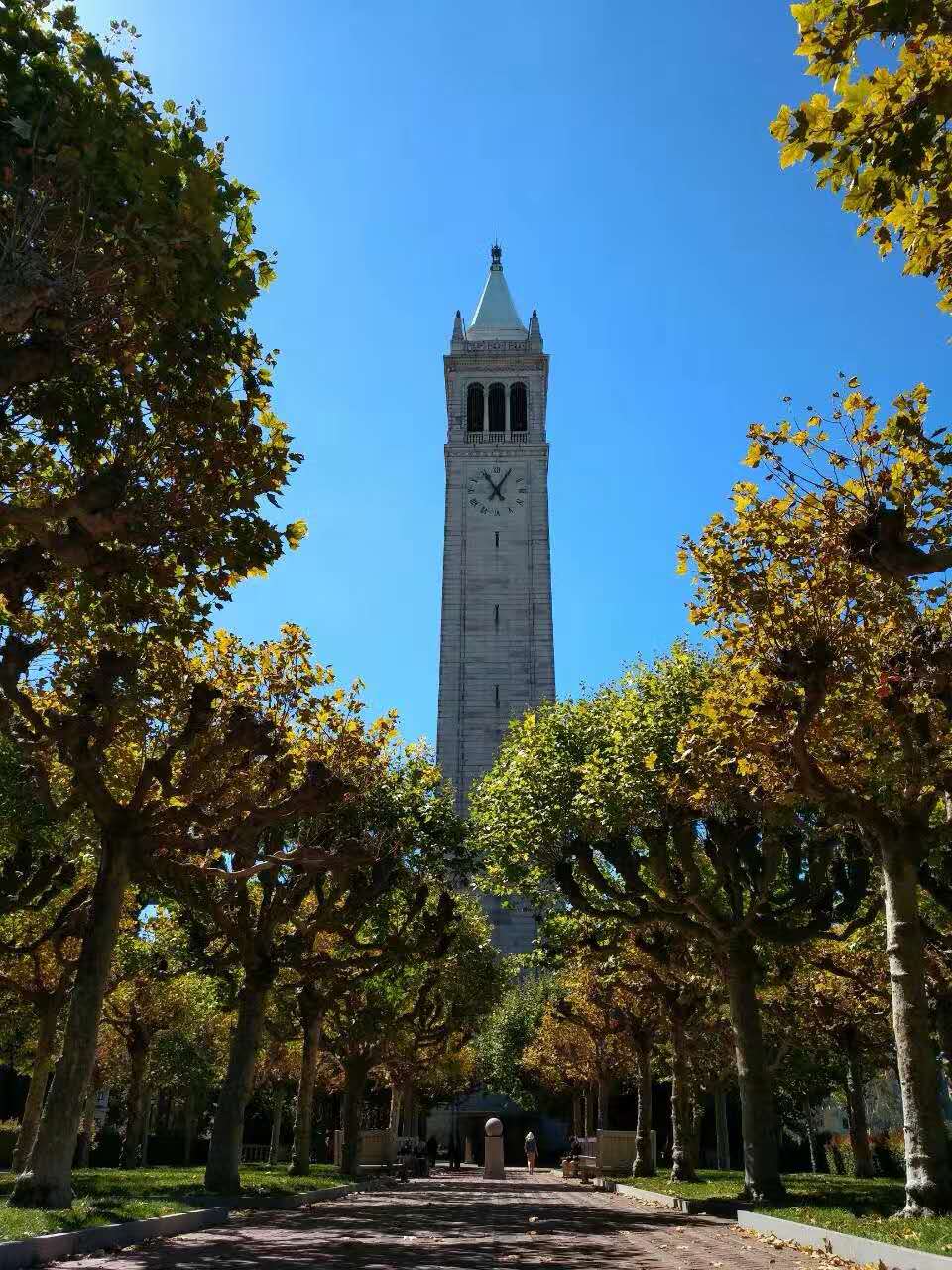加州大学伯克利分校申请时间