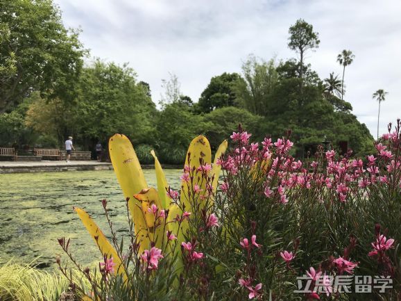 墨尔本大学校区