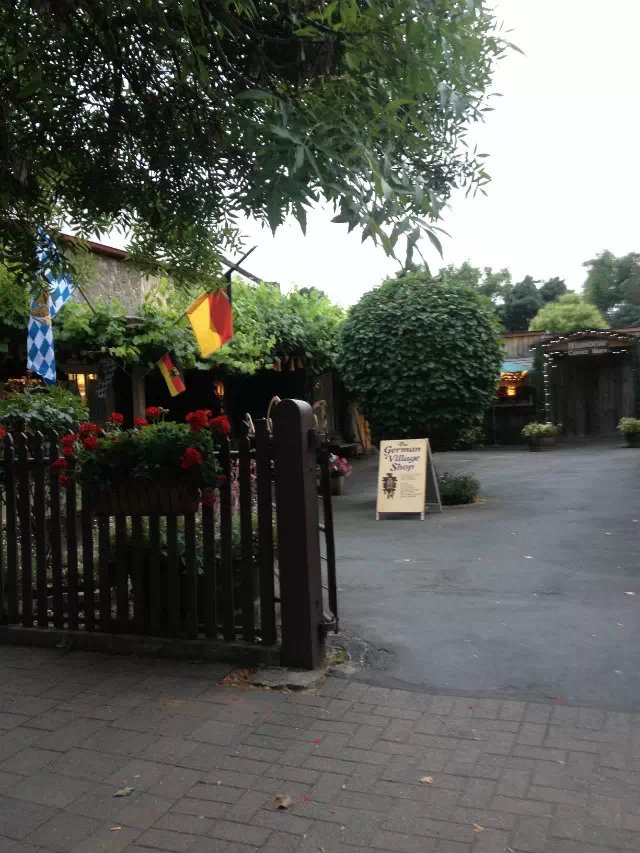 阿德莱德大学本科申请条件