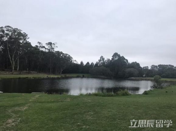 麦考瑞大学全球排名
