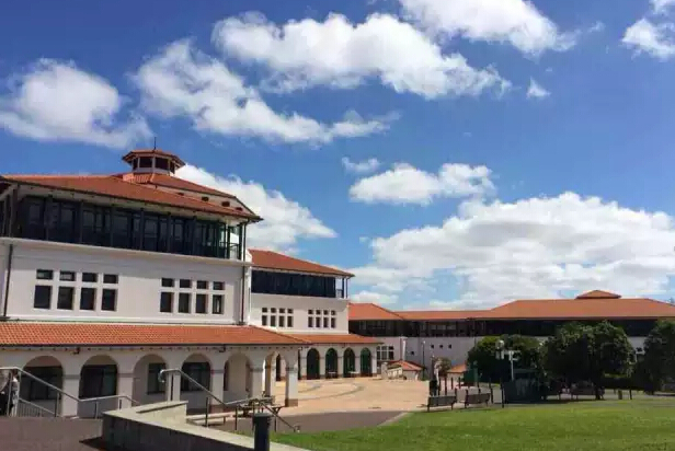梅西大学哪个专业好