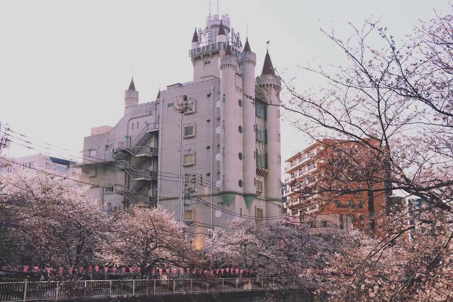 怎么去日本留学