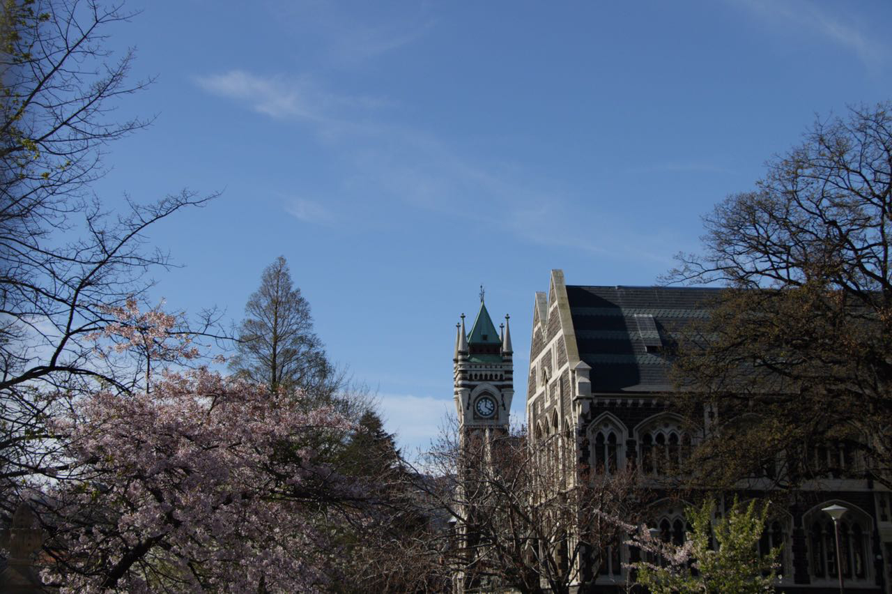 奥塔哥大学留学学费