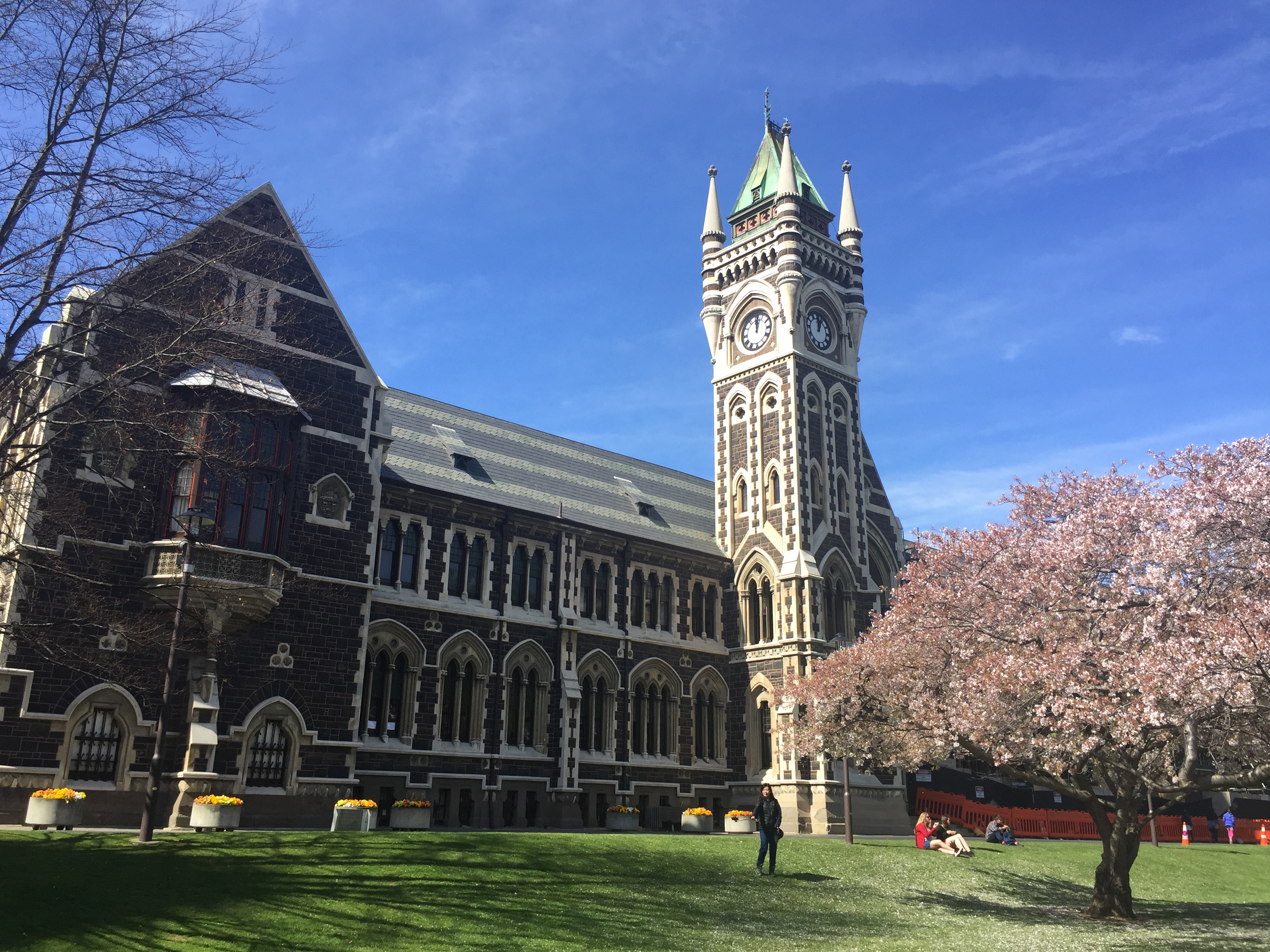 奥塔哥大学专业