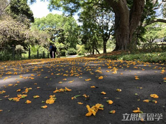 悉尼大学申请费用