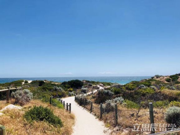 悉尼科技大学金融