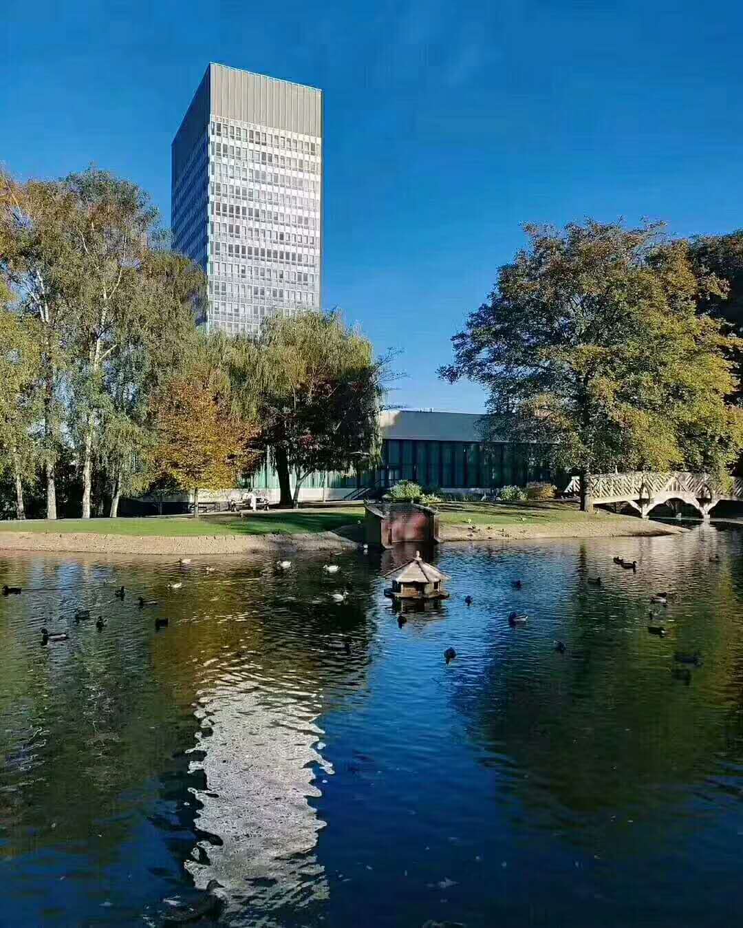 来看看！这几点小建议助你提高自身的雅思成绩