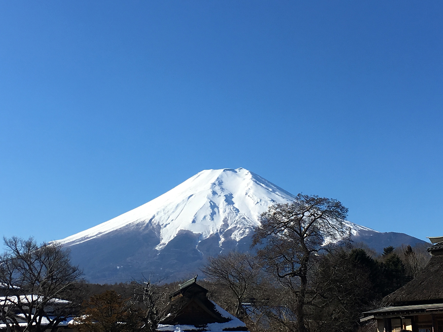 怎样去日本留学
