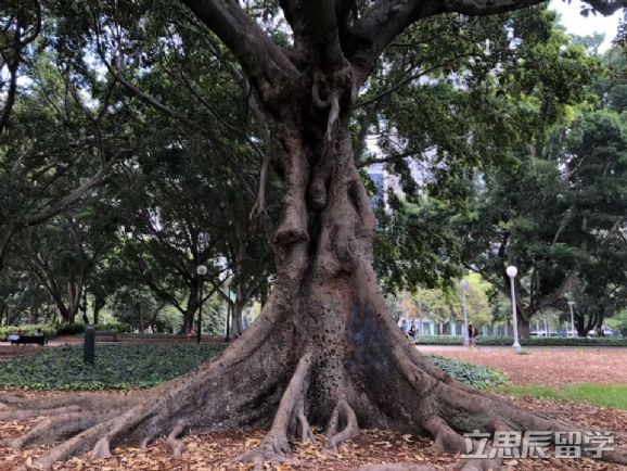 麦考瑞大学学生宿舍