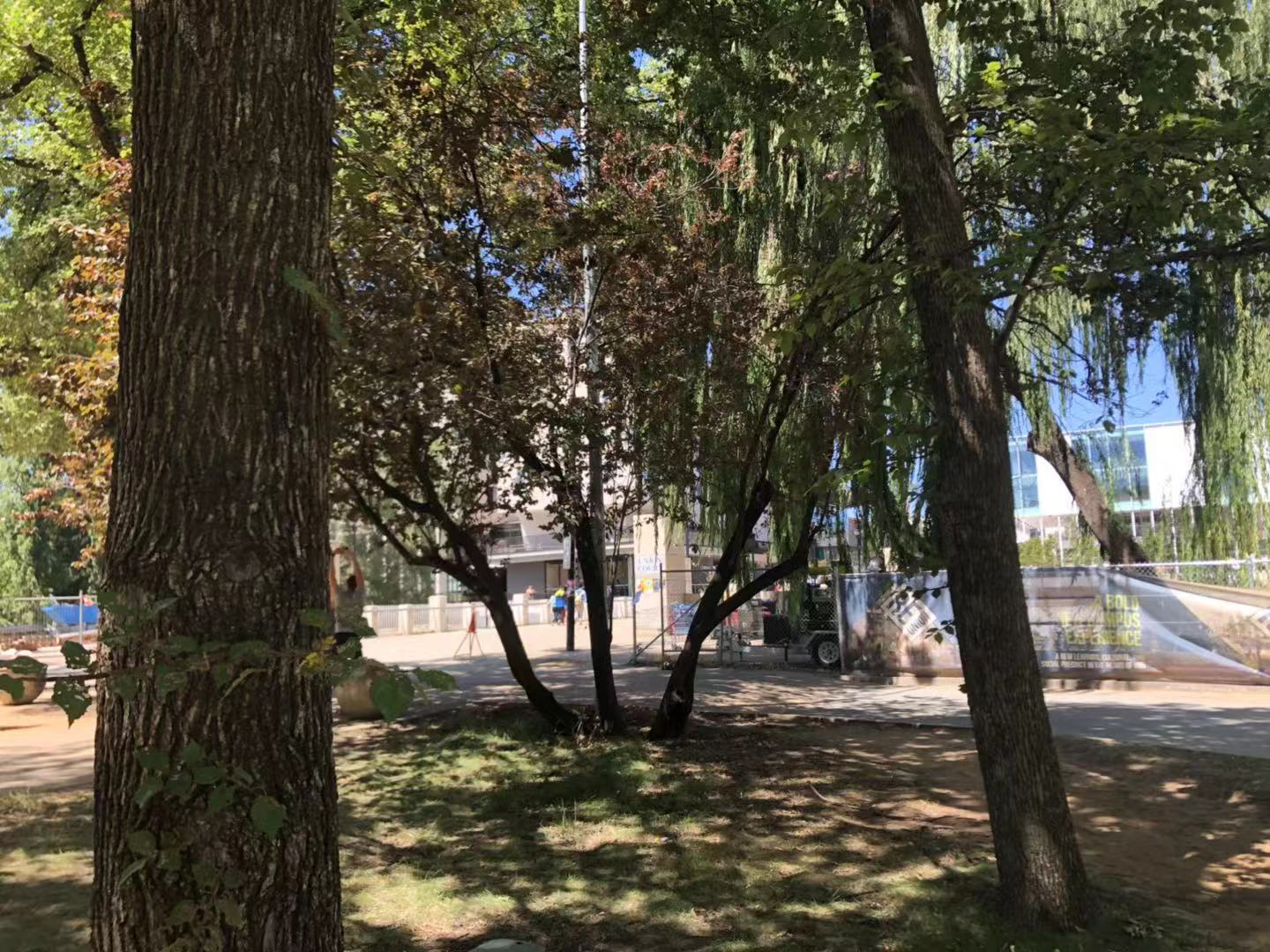 澳洲国立大学金融管理硕士