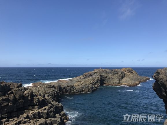 悉尼科技大学热门专业