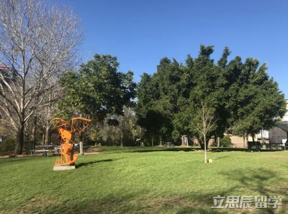 麦考瑞大学qs世界排名