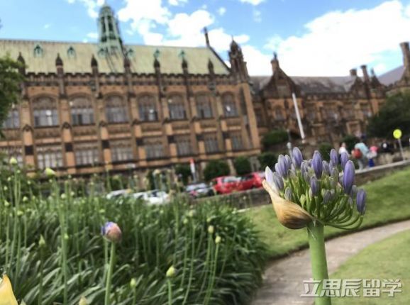 悉尼大学传媒研究生要求