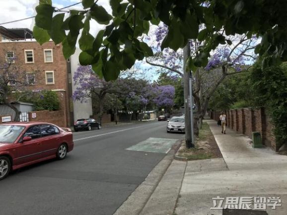 悉尼大学本科学制