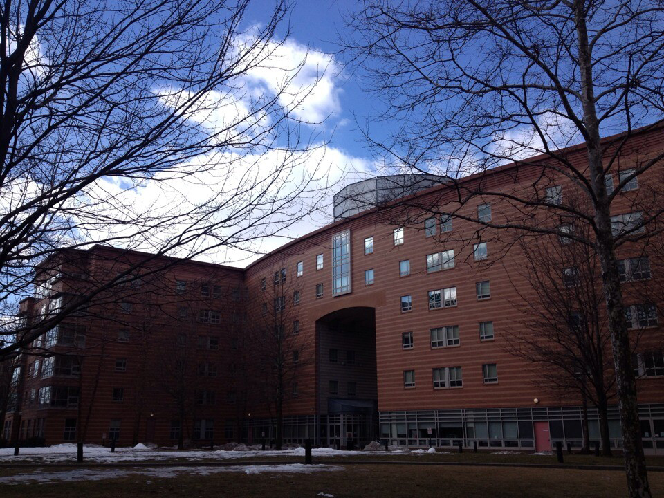美国东北大学艺术系