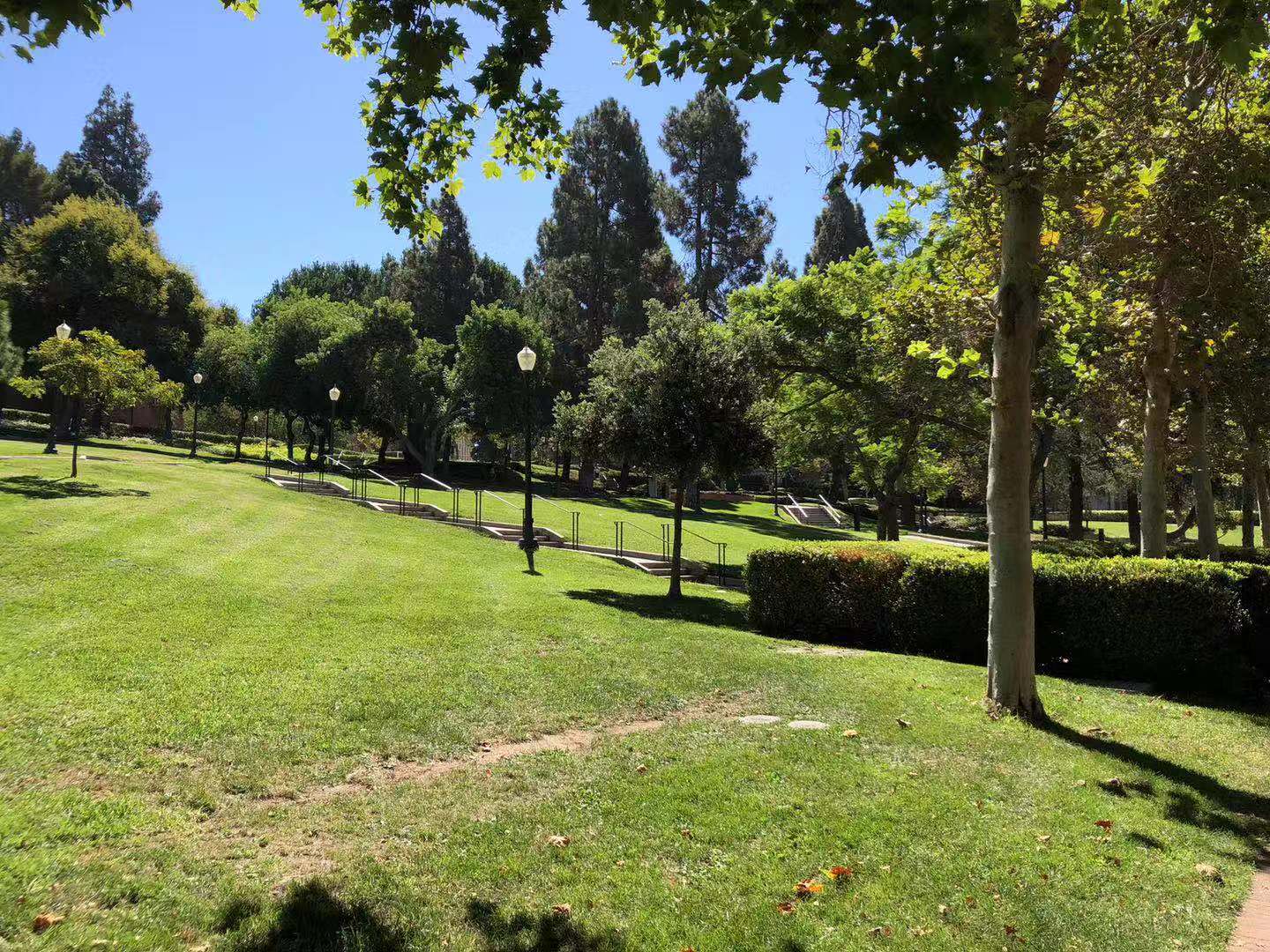 申请乔治城大学条件