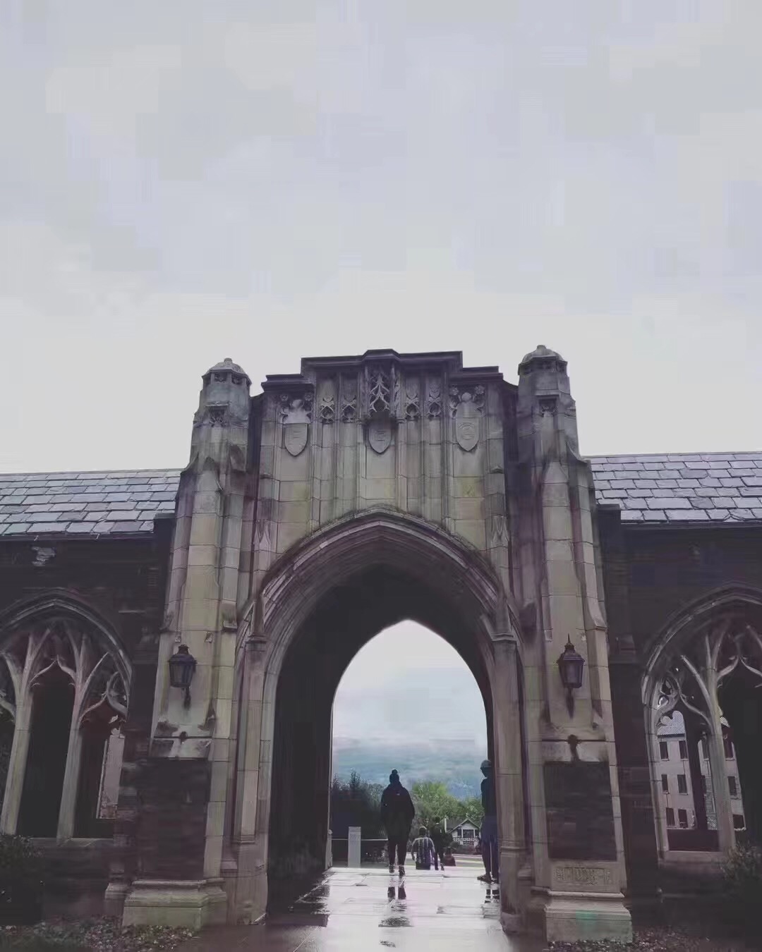 康奈尔大学本科专业