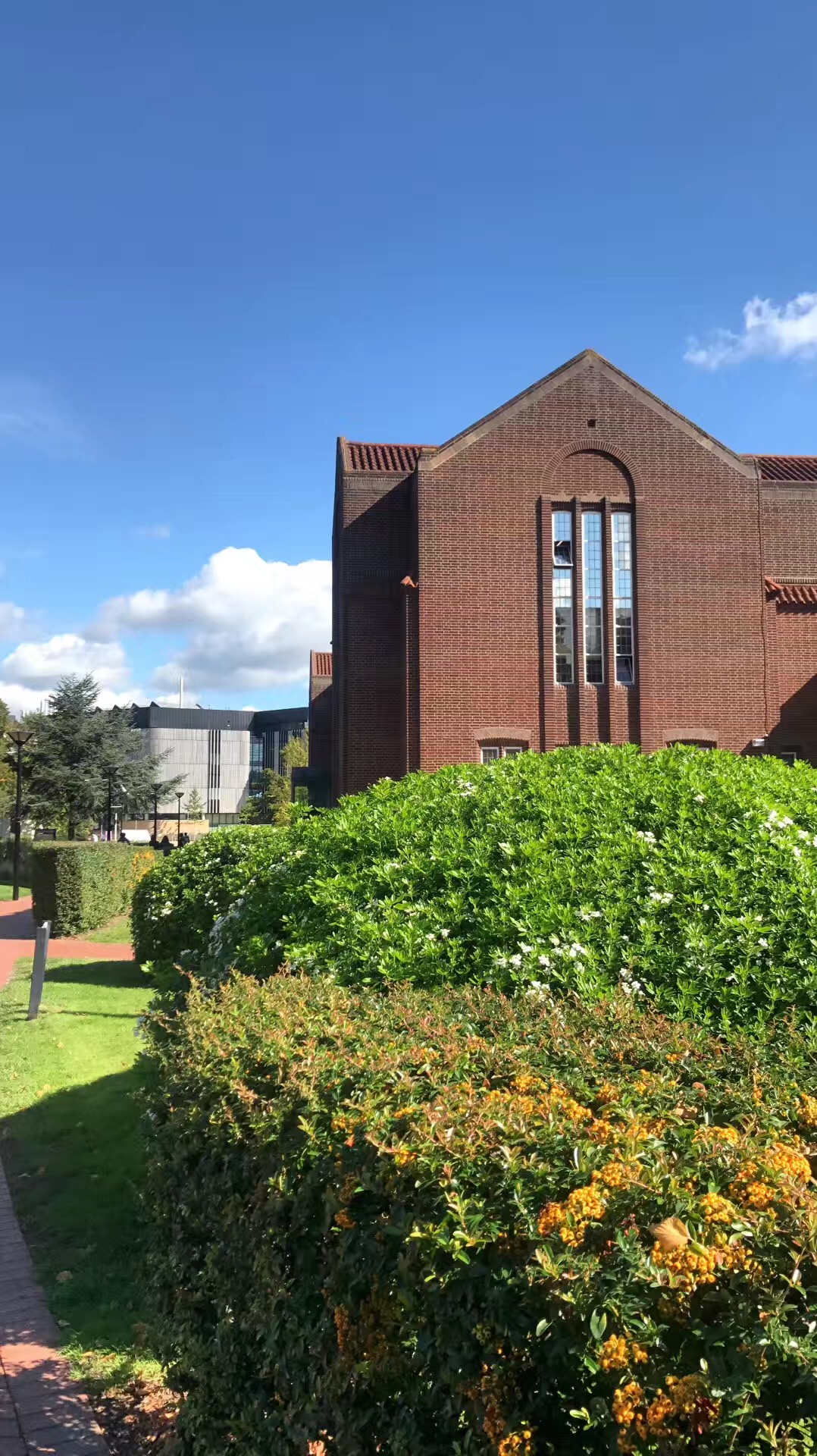 萨里大学语言课程