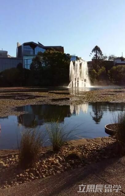 昆士兰大学预科毕业率
