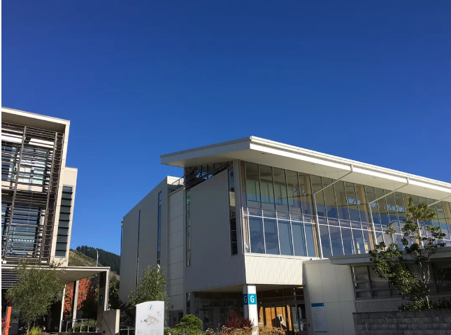 尼尔森理工学院商科几年