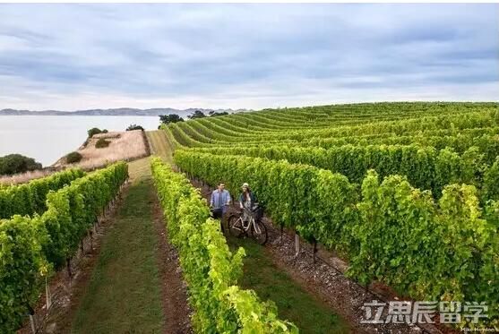 奥塔哥理工学院怎样