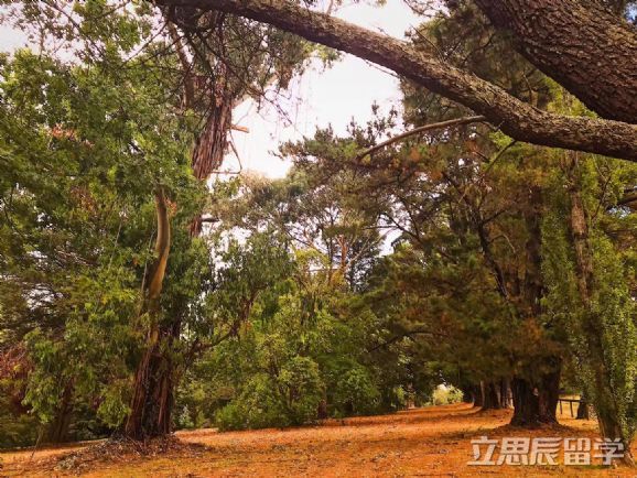 麦考瑞大学硕士申请