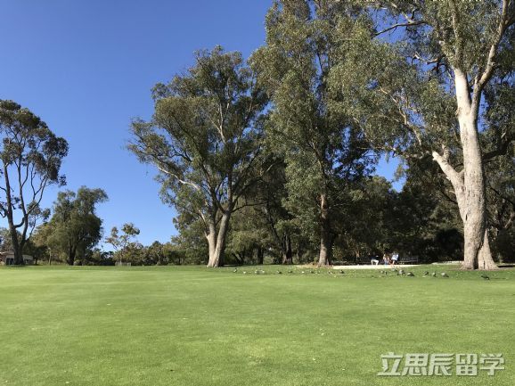 悉尼科技大学商科怎么样