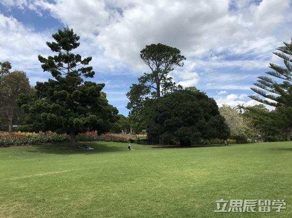 皇家墨尔本理工大学雅思要求